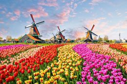 Věci o Nizozemsku, kter&eacute; jste pravděpodobně nevěděli