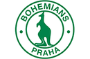 bohemka-logo.png